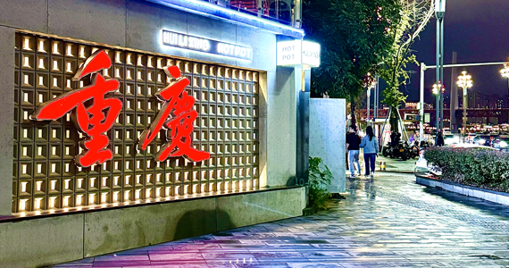 app域名在线查询