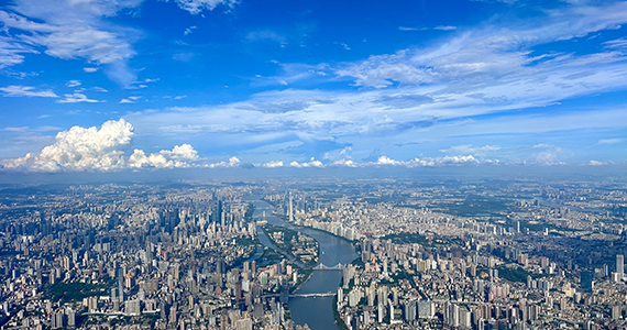 怎么查询app服务器域名密码