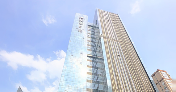 App的域名查询：深入了解域名的重要性