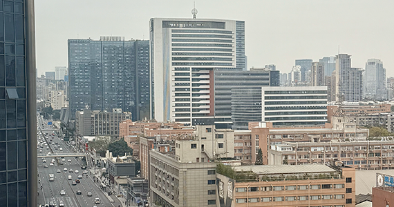 域名批量查询 手机app