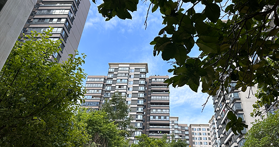 App不知道域名怎么查询