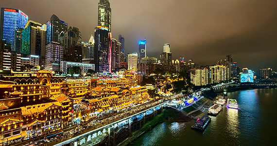 App查询域名：高效管理与解析域名的实用工具