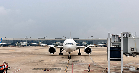 域名备案批量查询工具手机app