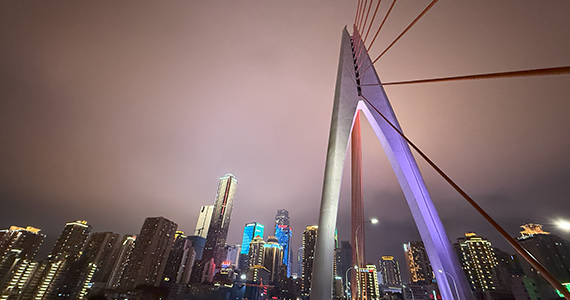 免费的网站域名查询app